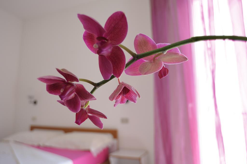Solemare Hotel E Residence ミザーノ・アドリアーティコ エクステリア 写真